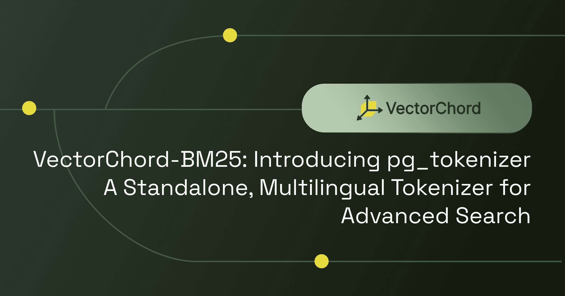 VectorChord-BM25: Introducing pg_tokenizer—A Standalone, Multilingual Tokenizer for Advanced Search